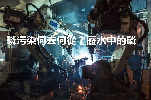 磷污染何去何從？廢水中的磷問題有解嗎？